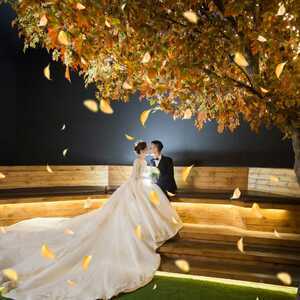 上海羽漫映畫婚紗攝影 定格浪漫時光的藝術殿堂